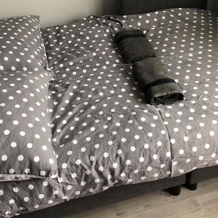 Apartament Mia Malbork Dış mekan fotoğraf